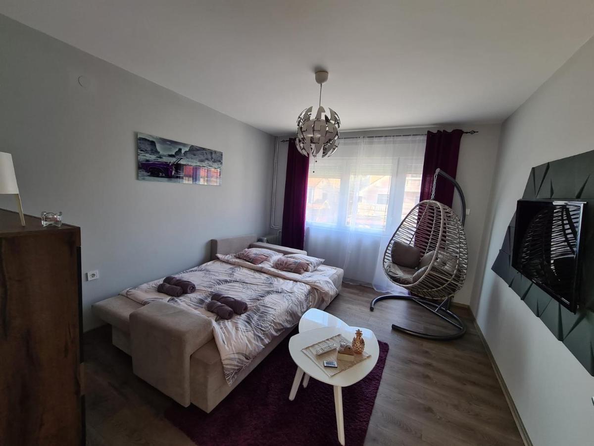 Grey & Sunny Apartments Заечар Экстерьер фото